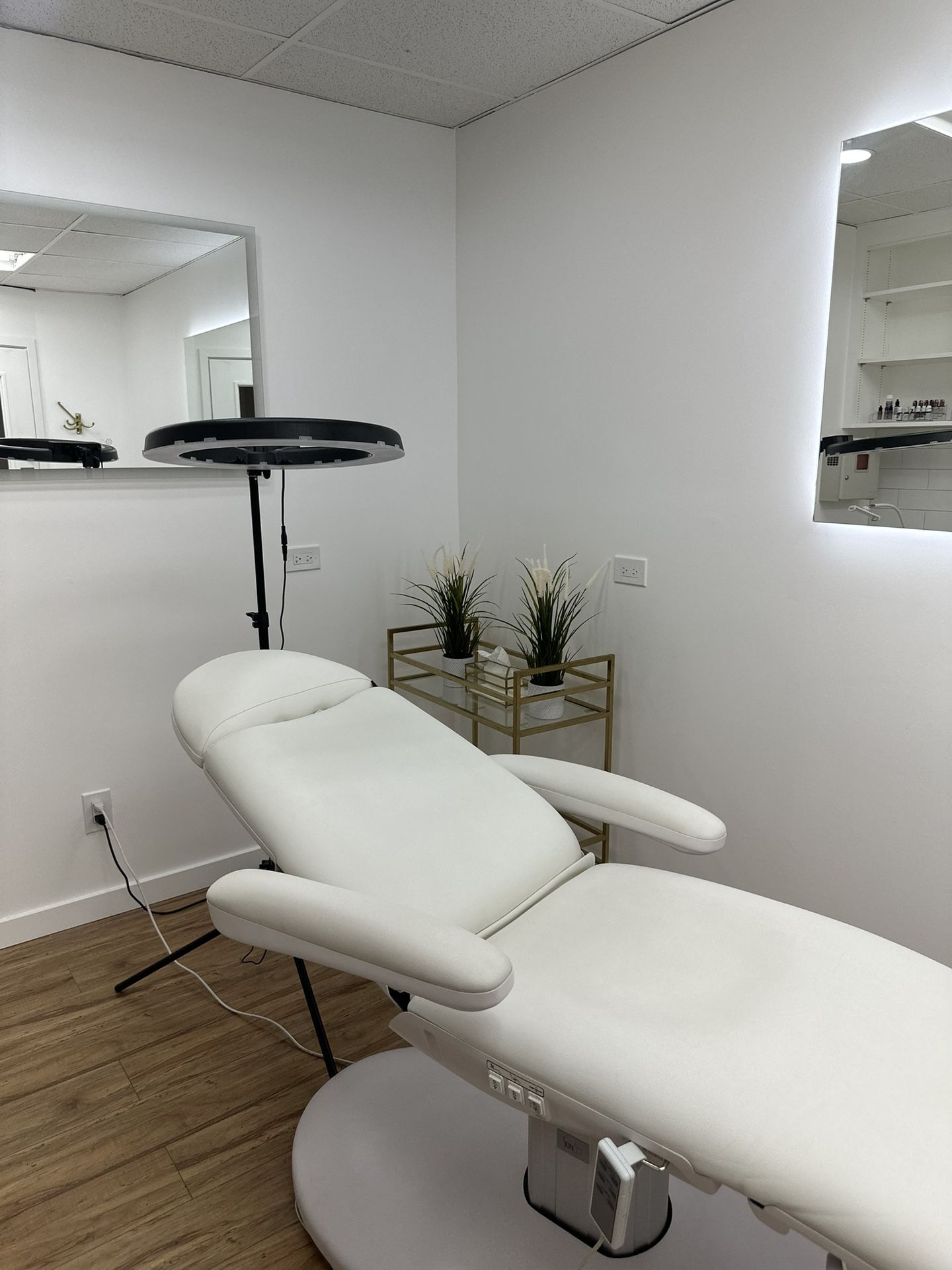 Electric Medical Spa Chair