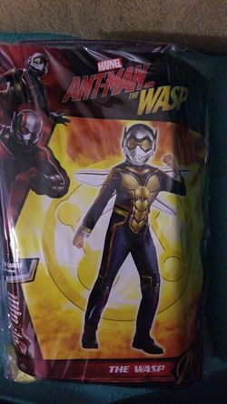 The wasp costume