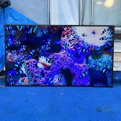 4k 58 Inch Samsung Tv 