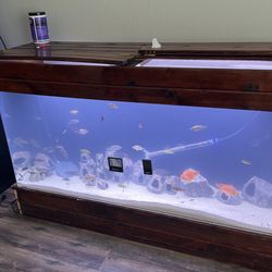 Seaclear acrylic clearance aquarium