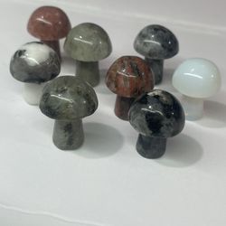 8 Natural Crystal Mushrooms 
