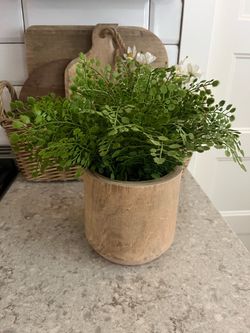 Pending Target faux fern $10