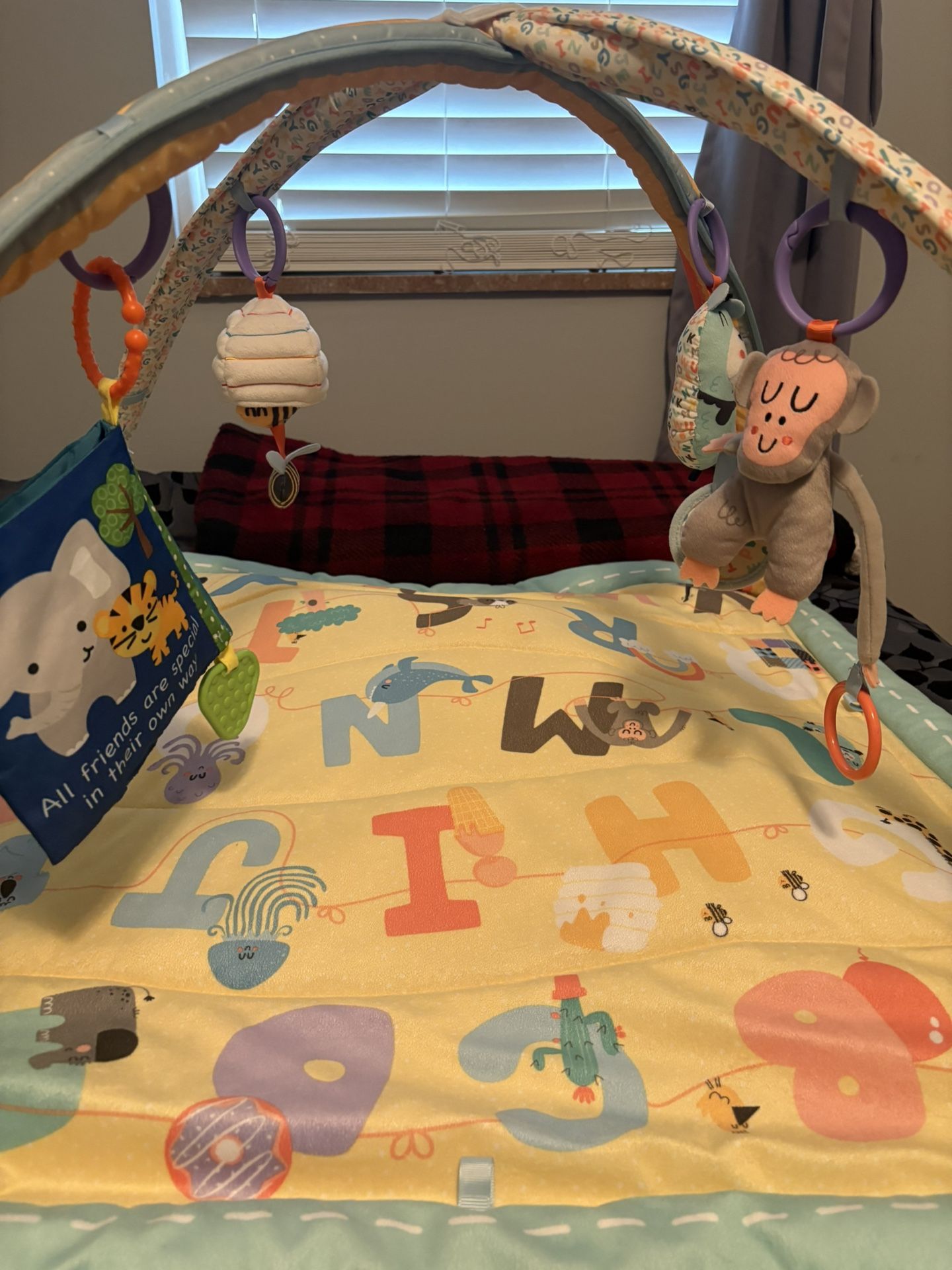 Infant Play Mat (and 2 Free Books)