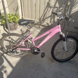 Schwann Girls Bike