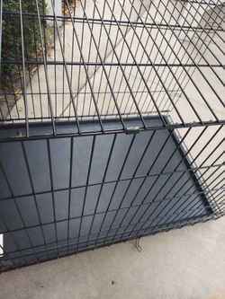 Pet crate x large