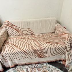 Small Ikea Sleeper Sofa Bed/ Loveseat (55x30x28)