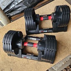 Dumbells Weights