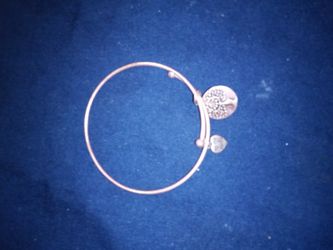 Coppertone EarthAngel ♥️ My Dog