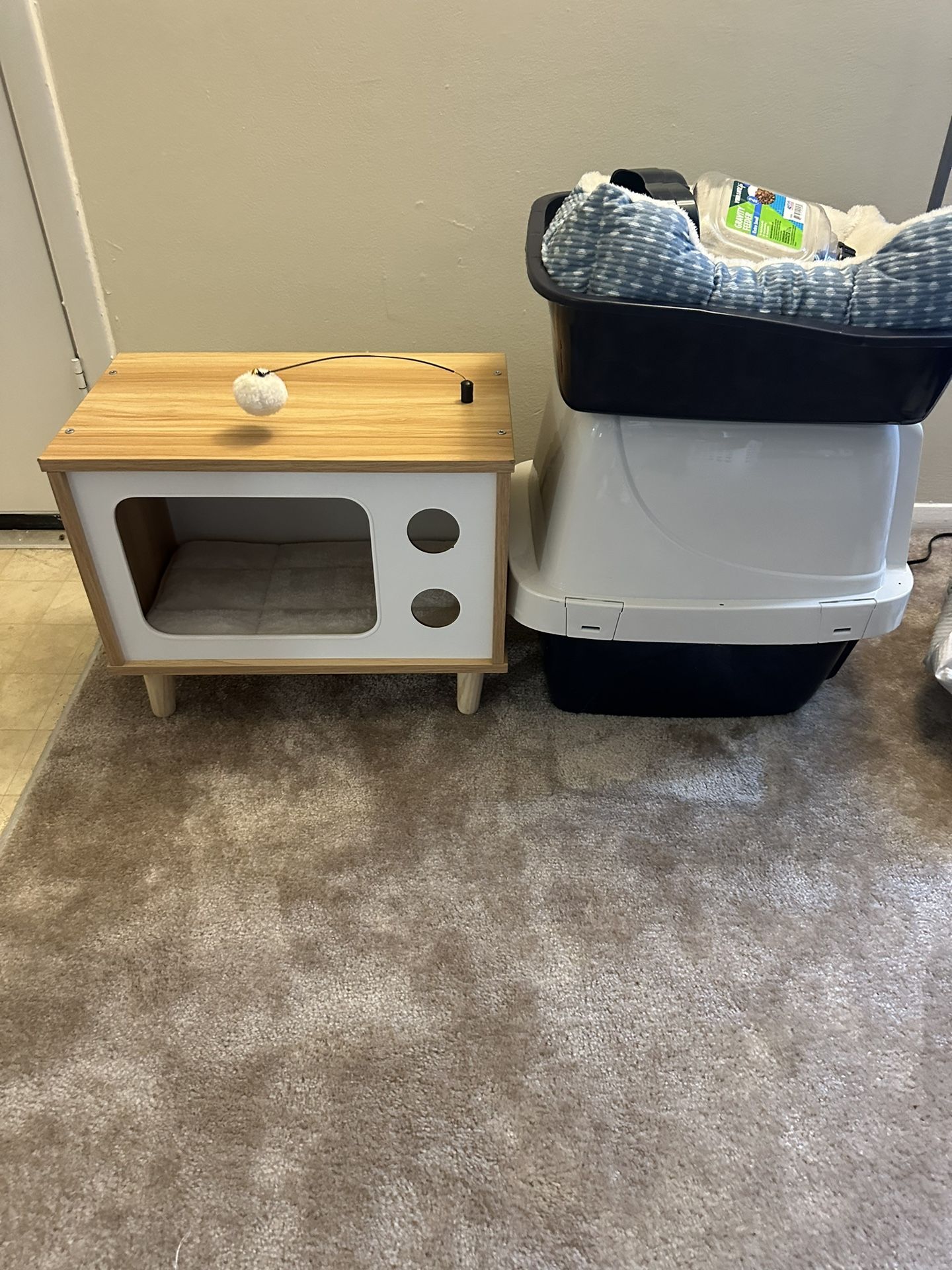 Cat Supplies