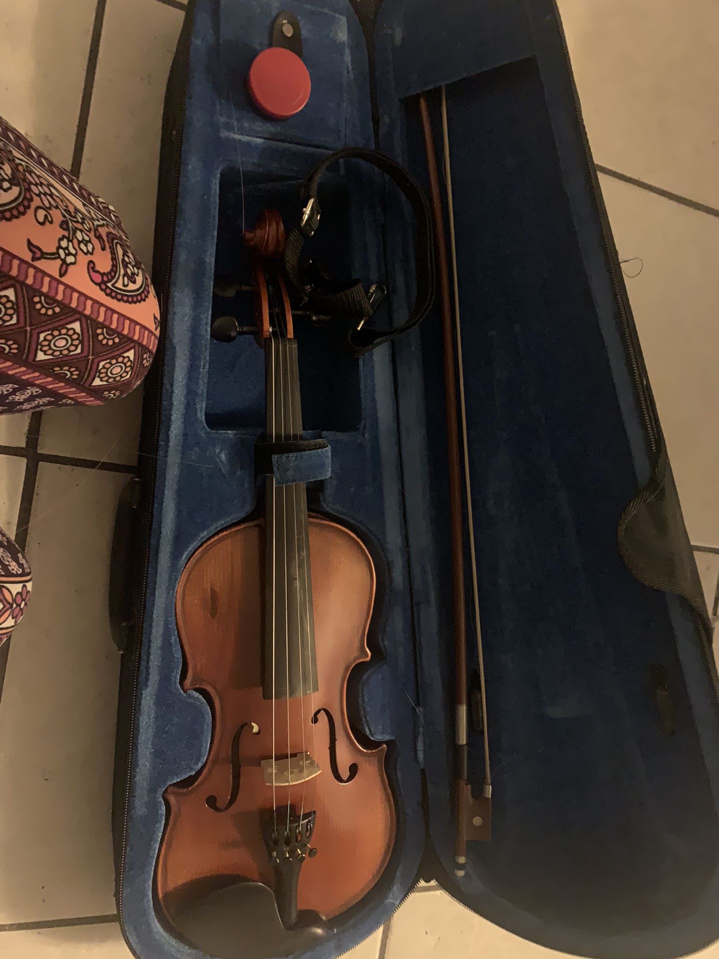 new Violin 