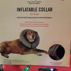 Inflatable Collar In Weeki Wachee Spring Hill