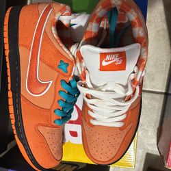 Nike Dunk Low SB
