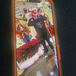 Unlocked 17 Pro Max 512 GB Cosmic Orange