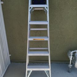 Dewalt Ladder