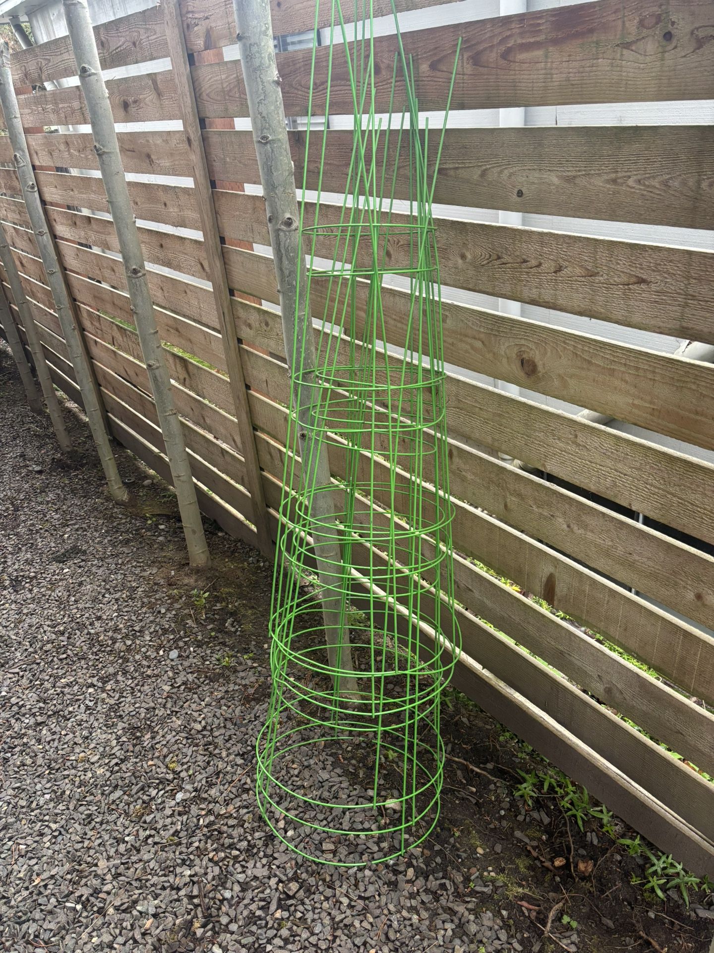 54” H Tomato Cages