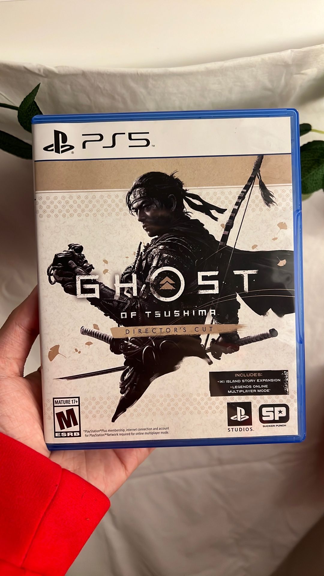 Ghost of Tsushima Directors Cut
