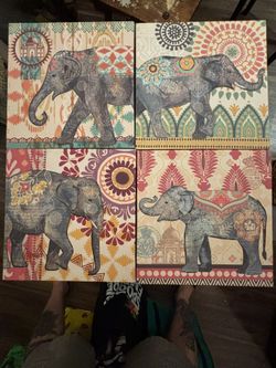 4 Elephant Canvases