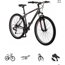 Schwinn mens online standpoint