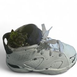 Custom Jordan 6 "Oreo" Infant Sneaker Planter with Live Succulent