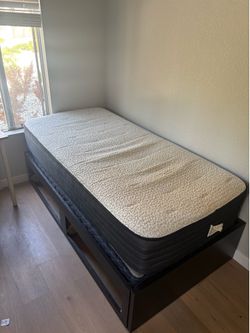 IKEA FLEKKE Daybed Frame w/ Pull-Out Bed – Black Brown