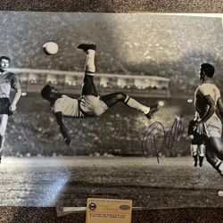 Pele Large 16X20 Signed Photo With Steiner COA