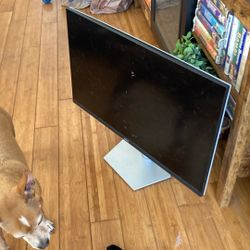 Dell Monitor 29 inch