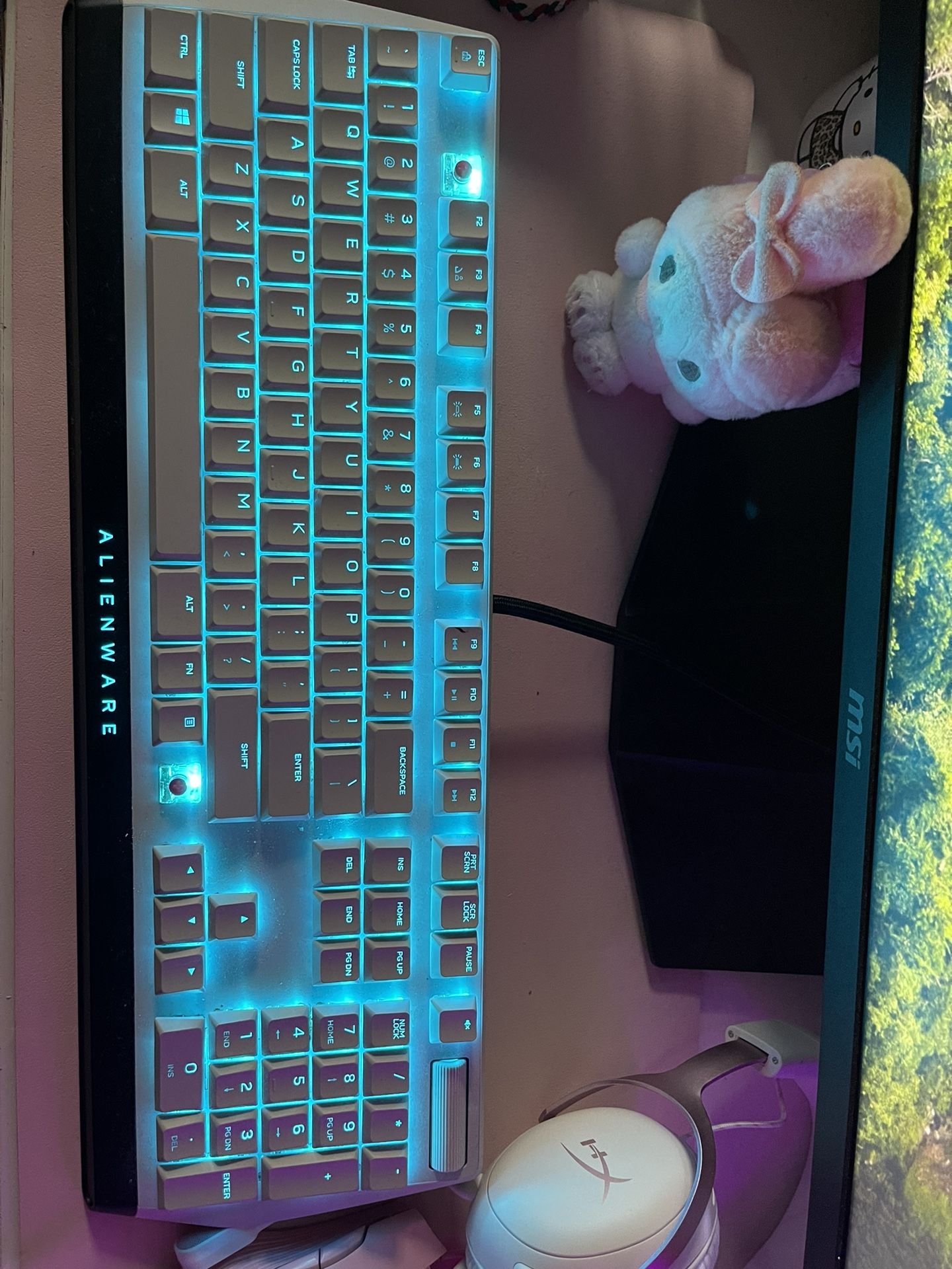 Alienware Wired Keyboard AW510K Missing 2 Keycaps