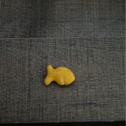 Snap That Childs Back Goldfish!!