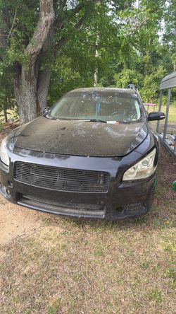 2010 Nissan Maxima