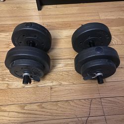 Gold Gym Dumbbells