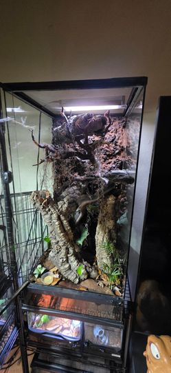 Crested Gecko Reptile Tank