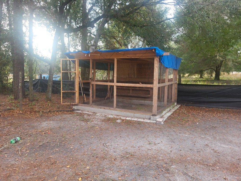 Chicken Coop 10ft By 10 Ft