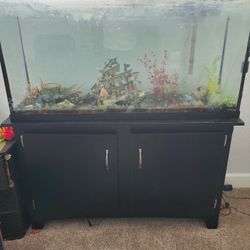 75 Gallon Fish Tank And Black Stand With Lights