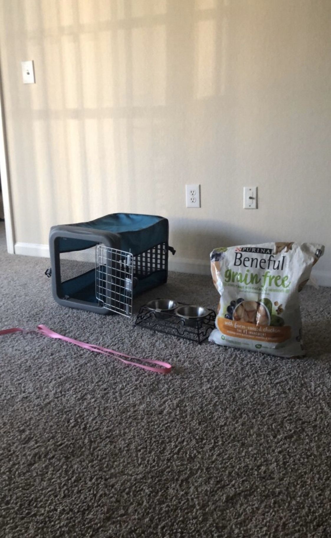 Small Pet Supplies