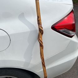 Wood Carved Walking Stick