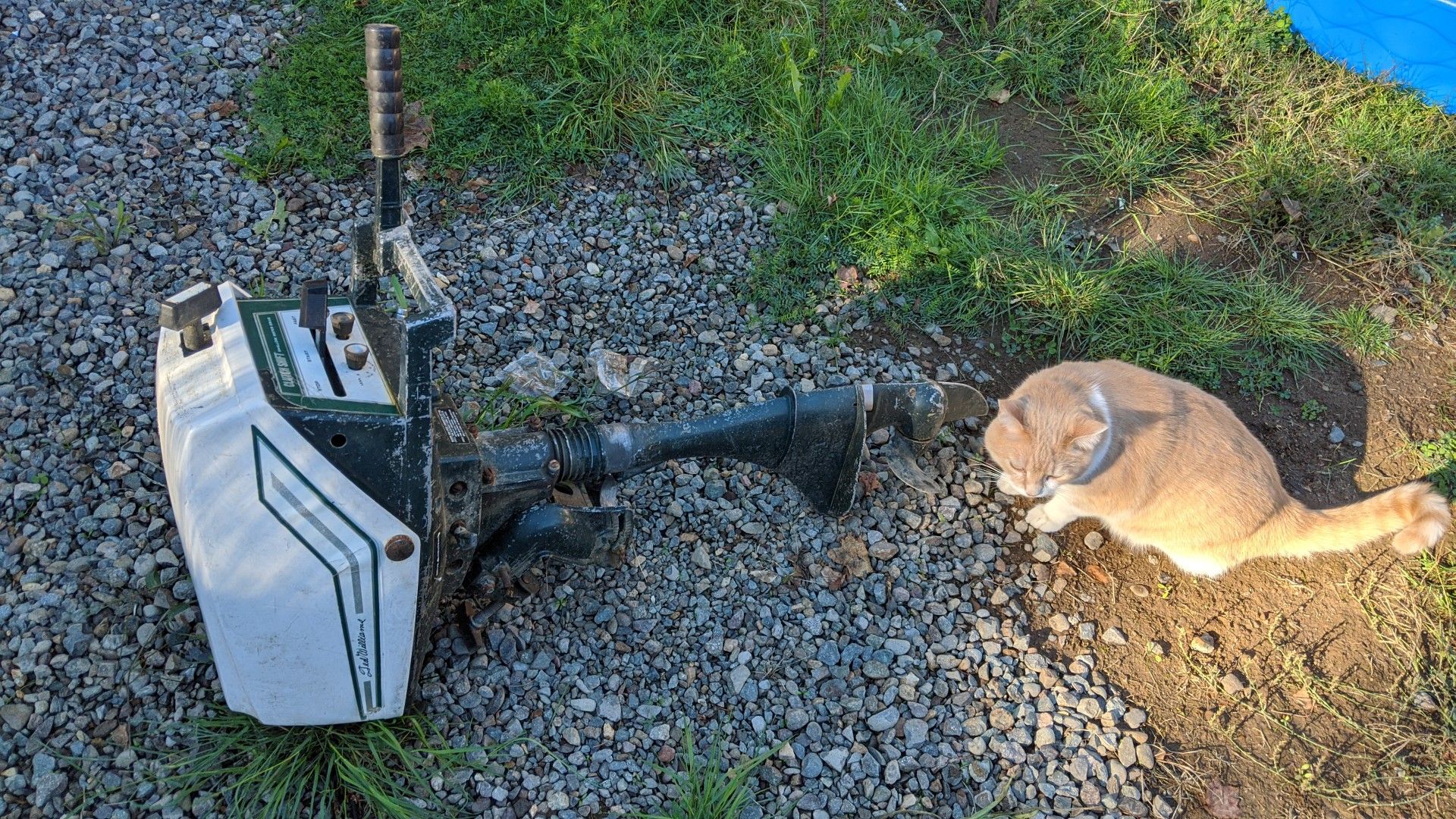 5.5hp Ted Williams outboard motor