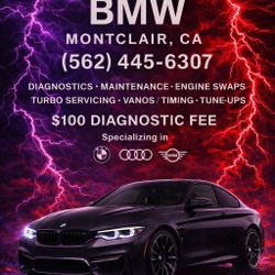 BMW Parts 