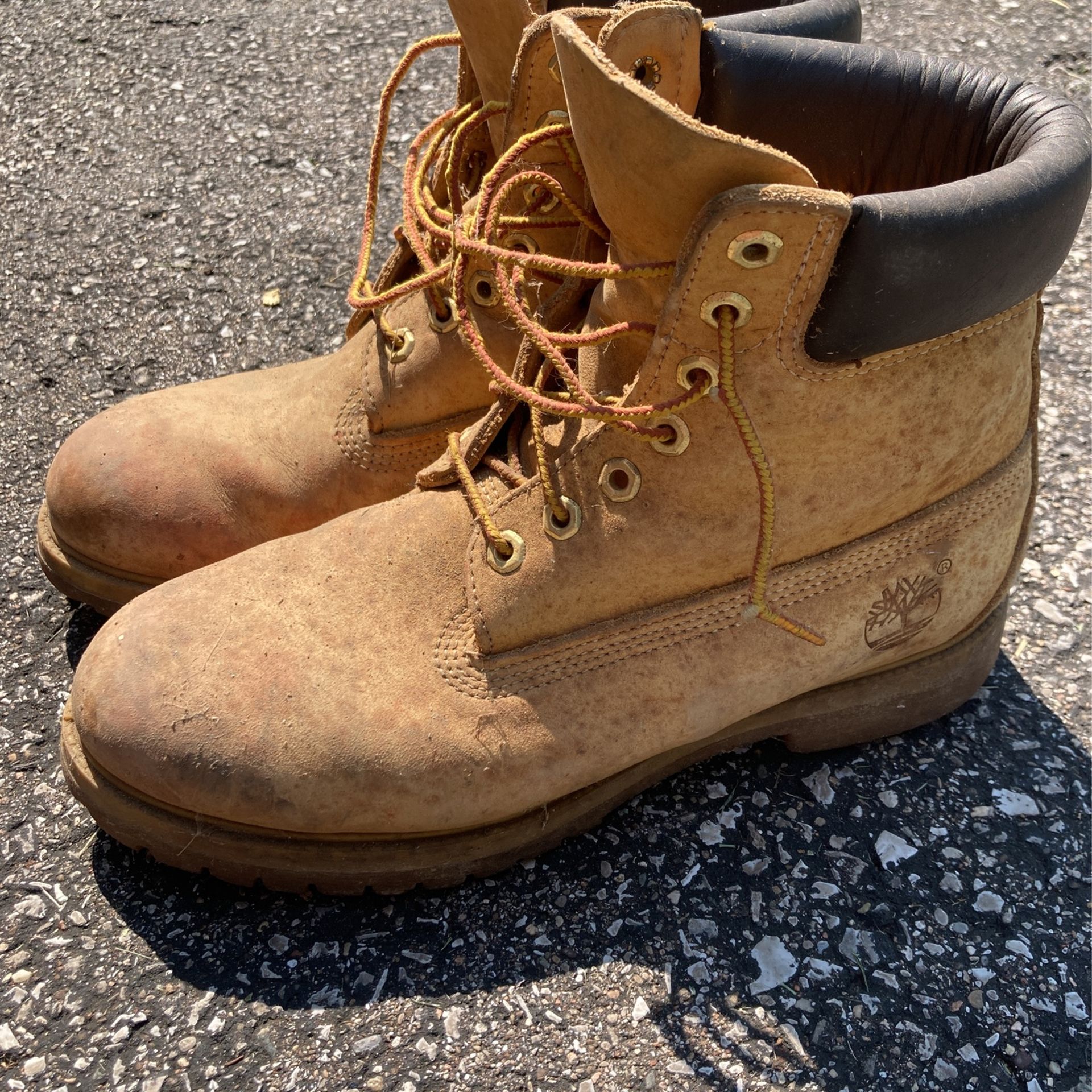 Size 8 Timberlands