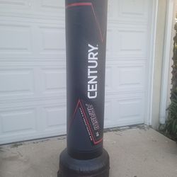 Freestanding Punching And Kicking Bag