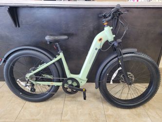 Koa Rev + 2 Fat Tire Step Thru Matte Sage