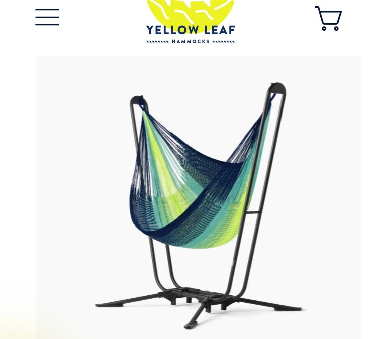 The Vista Portable Hammock and Stand with Carrying case $499