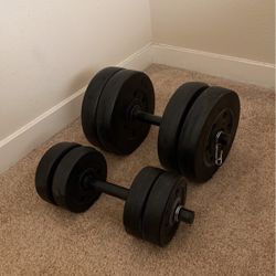 Adjustable Dumbbell Set 