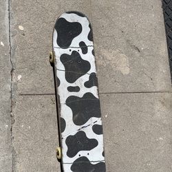 Skateboard