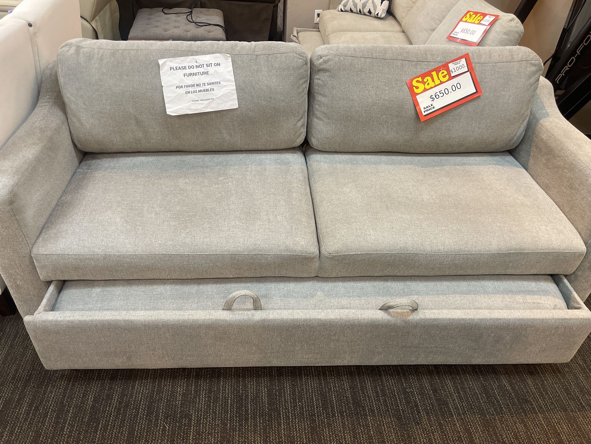 Sleeper Sofa