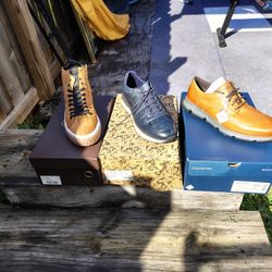 Shoe Collection Size 12