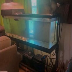 55 Gallon Tank, Stand And Pump $150