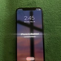 iPhone X