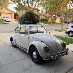 1965 Volkswagen Beetle