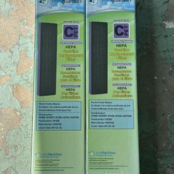 Germ Guardian Replacement Filter