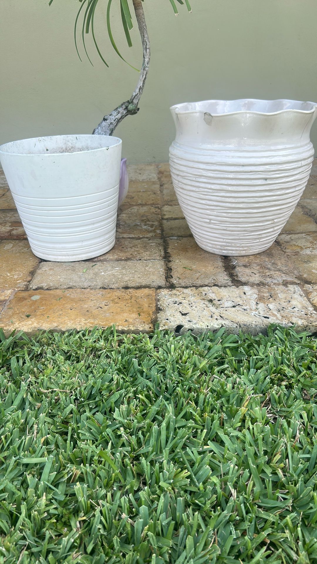 Planting Pots White